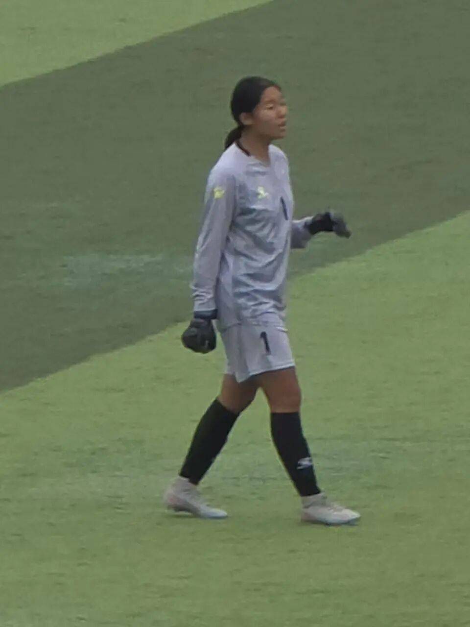 开云在线登陆入口-日本女足联赛新星崭露头角,赢得球迷喝彩的是谁